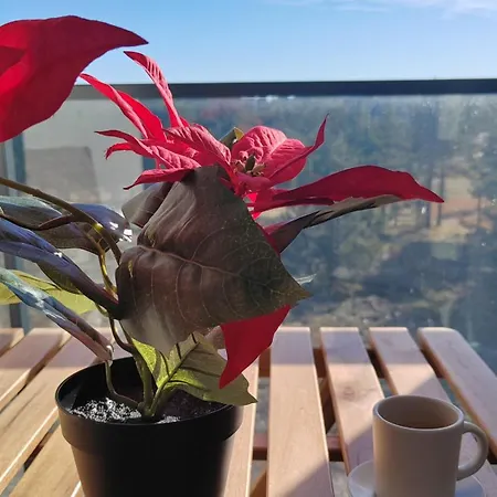 Peak Дивчибаре