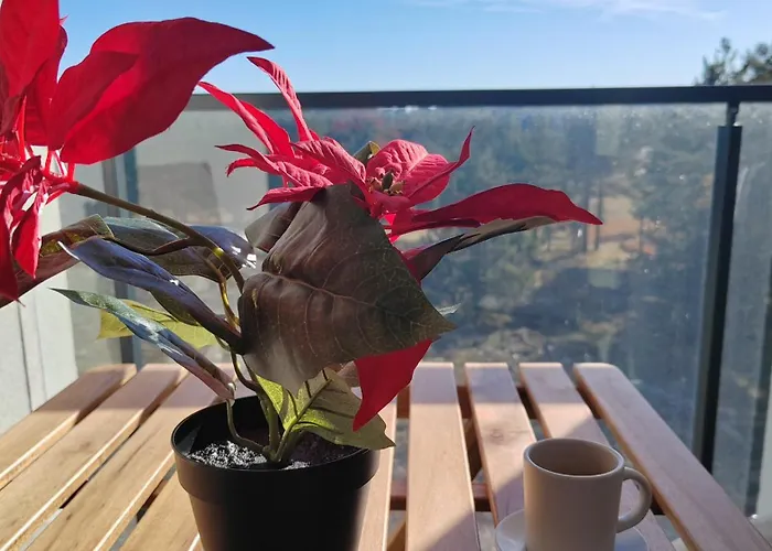 Peak Дивчибаре